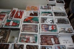 19-Tsukiji Fish Market